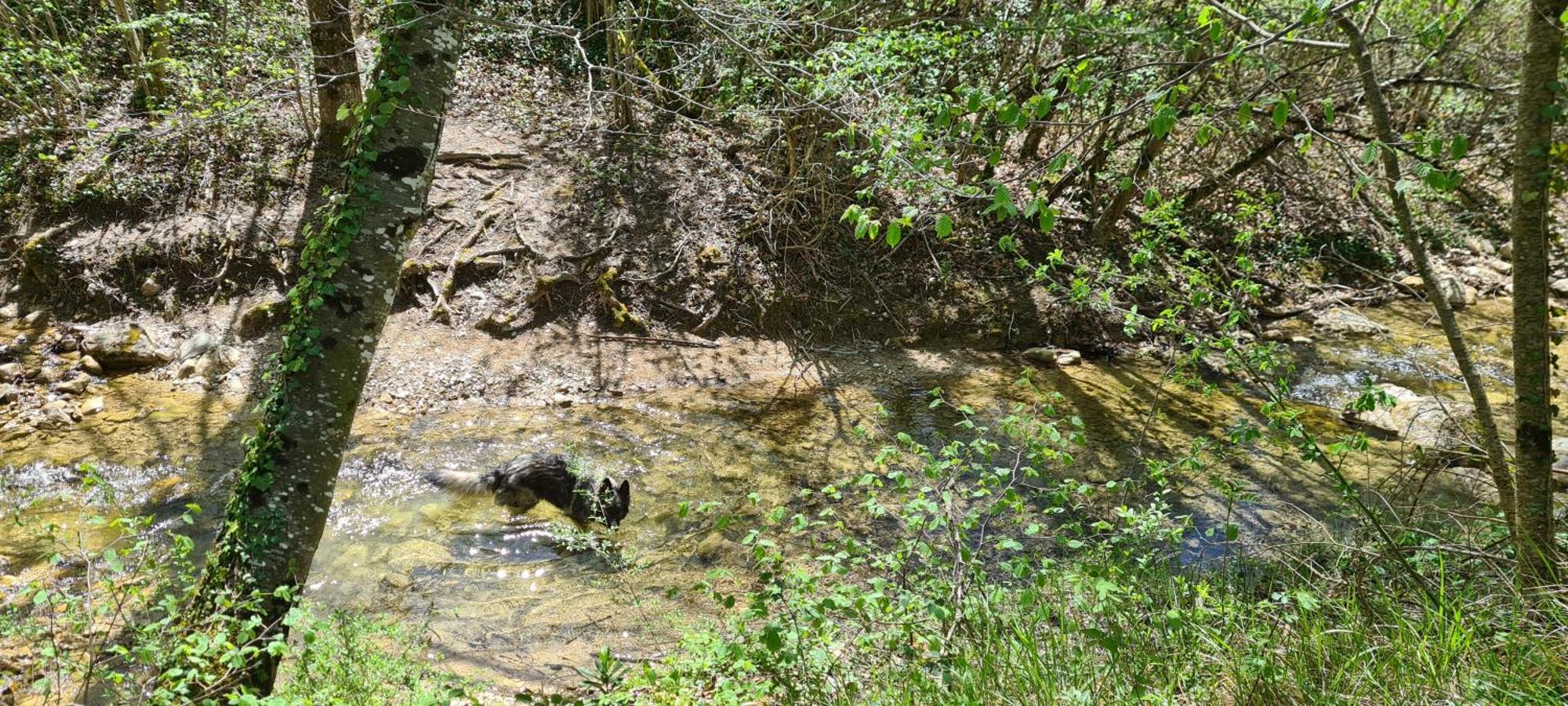 Camping Le Gallo Romain Barbieres Dış mekan fotoğraf